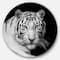 Designart - Staring Bengal White Tiger' Disc Contemporary Animal Metal Circle Wall Decor